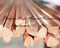 Tellurium Copper Rods C14500