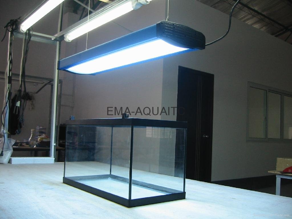 aquarium lamp 4