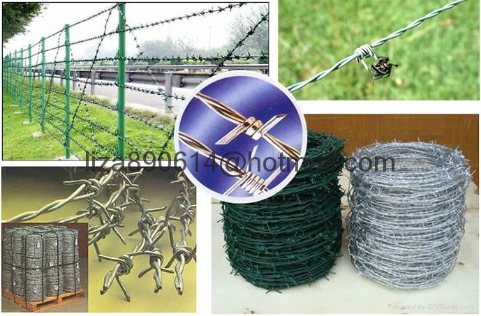 IOWA MOTTO      type barbed wire mesh fencing 3