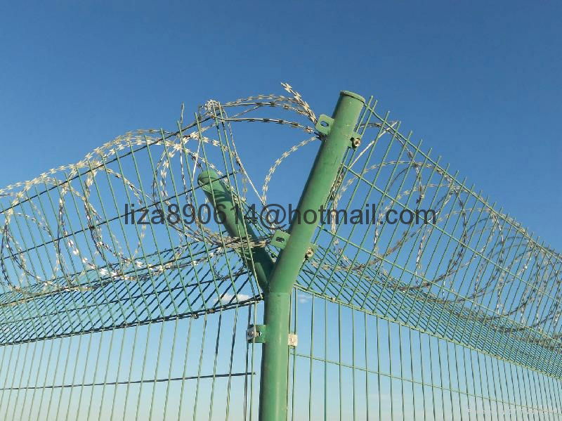 IOWA MOTTO      type barbed wire mesh fencing 5
