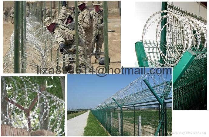 IOWA MOTTO      type barbed wire mesh fencing 4