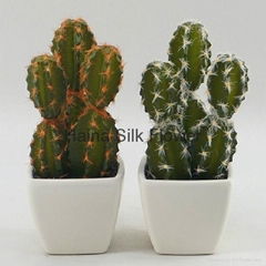 Factory direct selling mini artificial plants artificial cactus with 2 colors