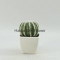 Mini artificial plants artificial cactus