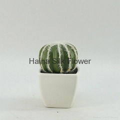  Mini artificial plants artificial cactus ball with competitive price