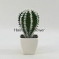 Cheap mini artificial plants artificial cactus bonsai wholesale 1