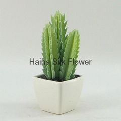 Decorative mini artificial plants artificial succulent bonsai