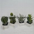 Hot selling mini artificial plants