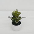 High quality artificial plants plastic