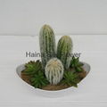 High quality high imitation artificial cactus artificial succulent mixed artific 1