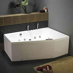 Bathtub With Hand Shower 