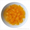 canned mandarin orange 1