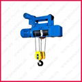 Wire rope electric hoist for crane