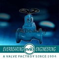 Cast Iron Globe Valve 1