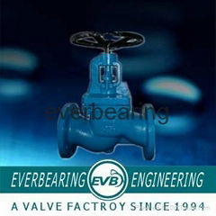 Cast Iron Globe Valve