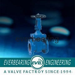 Cast Iron Rising Stem Gate Valve