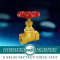 Forged Brass Stop Valve  1