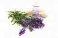 Lavender Oil 3