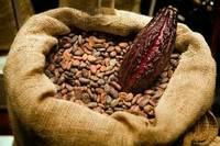 ARABICA AND ROBUSTA COFFEE BEANS, COCOA BEANS , COCOA POWDER 4