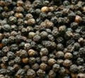 BLACK PEPPER AND  WHITE PEPPER 2