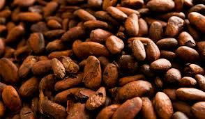 COFFEE BEANS AND COCOA POWDER 3