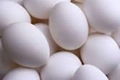 FRESH CHICKEN EGGS