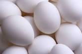 FRESH CHICKEN EGGS