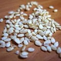 SESAME SEEDS