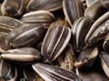 Sunflower seeds 1