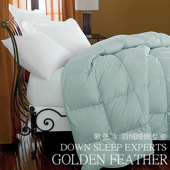 50%white goose down comforter,quilt
