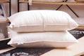 premium down pillow 100% down proof cotton 1