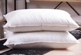 premium down pillow 100% down proof cotton 2