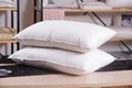 premium down pillow 100% down proof cotton 3