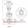 电站闸阀 2