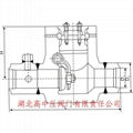 RCV 高压旋启式止回阀 2