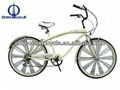 cruiser bike 6