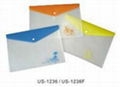 PP Color Printed File Bag