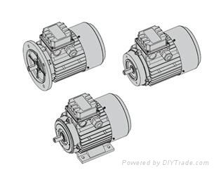 MOTOVARIO T/TS標準電機