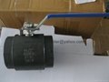 800lb Forged Steel Ball Valve 4