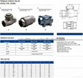 Female Check Valves - 316 Female Check