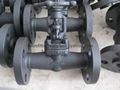 Forging steel flange gate valves 5