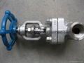 Forged Gate Valve Class 900-1500 1