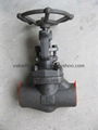 Forged Gate Valve Class 900-1500 4