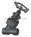 Forged steel Y type globe valve