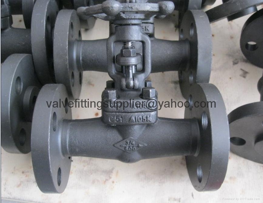 Flange and the welding globe valves