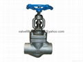 female threaded and socket welded globe valve