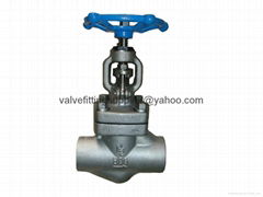 female threaded and socket welded globe valve