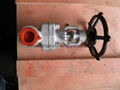 female threaded and socket welded globe valve 3