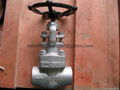 female threaded and socket welded globe valve 5