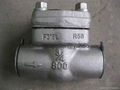 Wholesale Flange And Butt-welded Check Valve 1