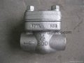 Wholesale Flange And Butt-welded Check Valve 3